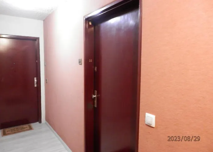 Daire Centre 300m 50m Gare Sncf *